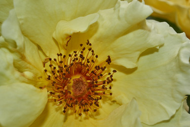 Similar image 21744743