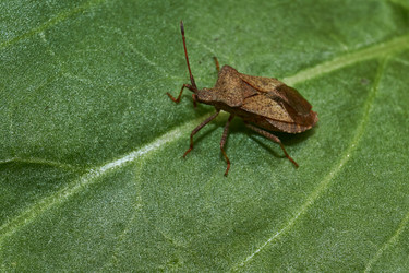 Similar image 21744748