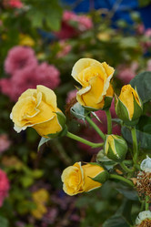 Similar image 21744749