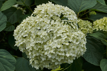 Similar image 21744755