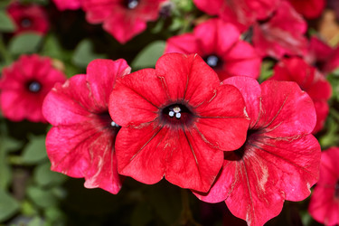 Similar image 21744756