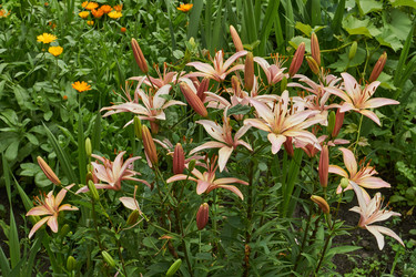 Similar image 21744757