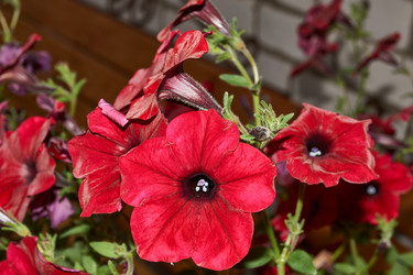 Similar image 21744758