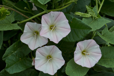 Similar image 21744759