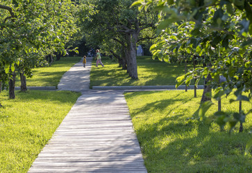 Similar image 21746111