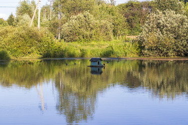 Similar image 21744793