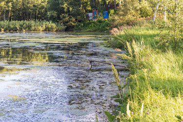 Similar image 21744964