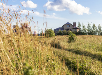 Similar image 21744984