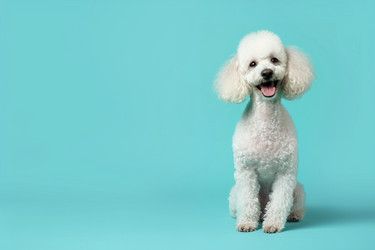 Similar image 21745820