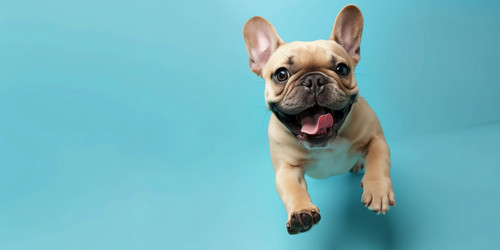 Similar image 21745821