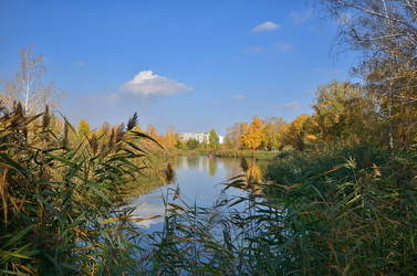 Similar image 21722865