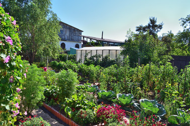 Similar image 21722866