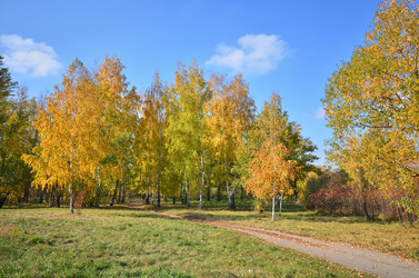 Similar image 21722867