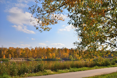 Similar image 21722868