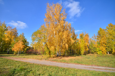 Similar image 21722869