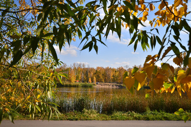 Similar image 21722871