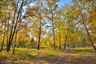 Similar image 21722872