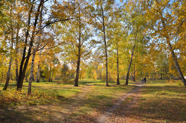 Similar image 21722873