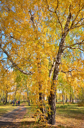 Similar image 21722875