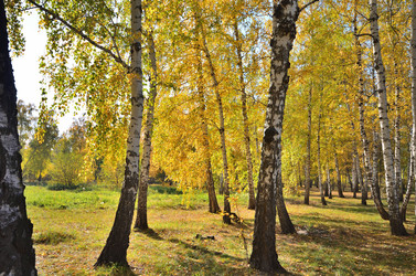 Similar image 21722876