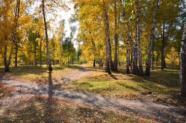 Similar image 21722878