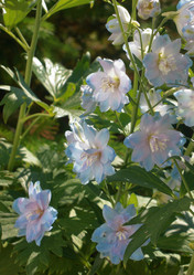 Similar image 21722879