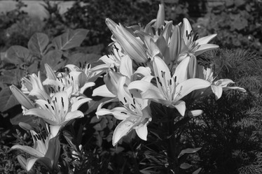 Similar image 21722881