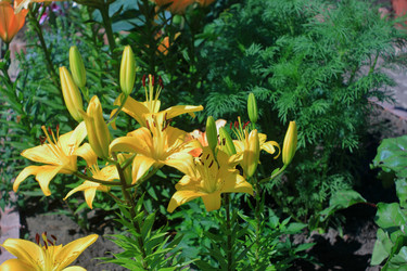 Similar image 21722882