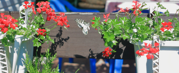 Similar image 21722883