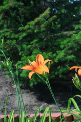 Similar image 21722884