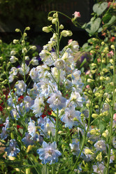 Similar image 21722886