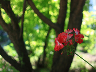 Similar image 21722887