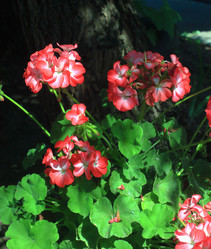 Similar image 21722888