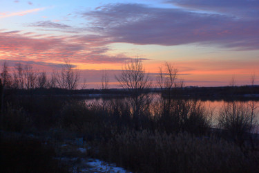 Similar image 21743807