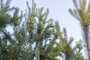 Similar image 21744819