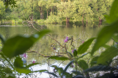 Similar image 21744828