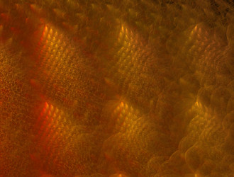 Similar image 21759283