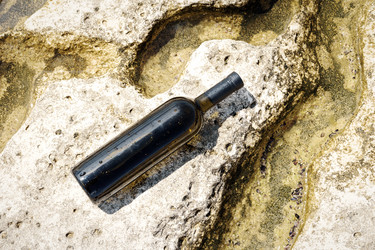 Similar image 21743819