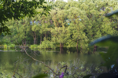 Similar image 21744835