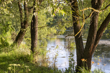 Similar image 21744858