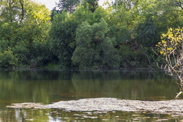 Similar image 21744869