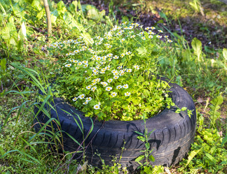 Similar image 21745001