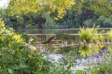 Similar image 21745005