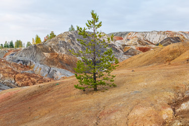 Similar image 21744055