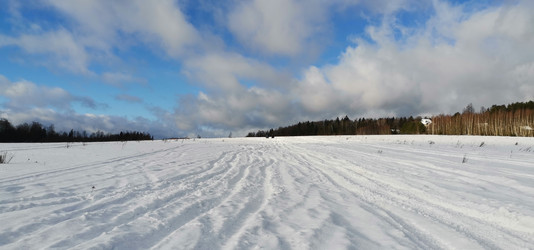 Similar image 21743917