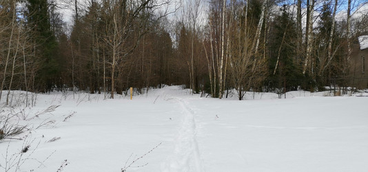 Similar image 21743923