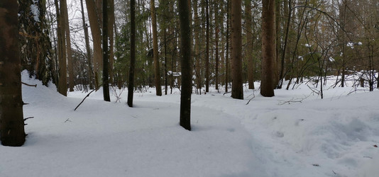 Similar image 21743924