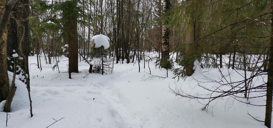 Similar image 21743925