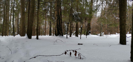 Similar image 21743926