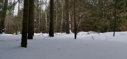 Similar image 21743927